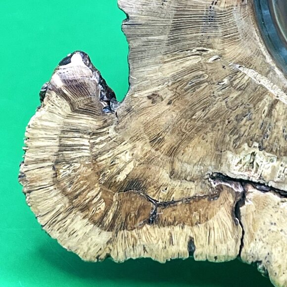 Rustic Artisan Burl Wood Jar Oil Candle Glass Insert Natural Edge Turned Vessel - Picture 11 of 12